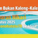 Bukan Kaleng-Kaleng! Keluaran Hikari 3 Agustus 2025 dari Konohatoto78 Eksklusif! - angkagaib.com