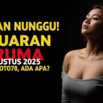 Jutaan Nunggu! Keluaran Daruma 26 Agustus 2025 Konohatoto78, Ada Apa-keluarantoto78.com